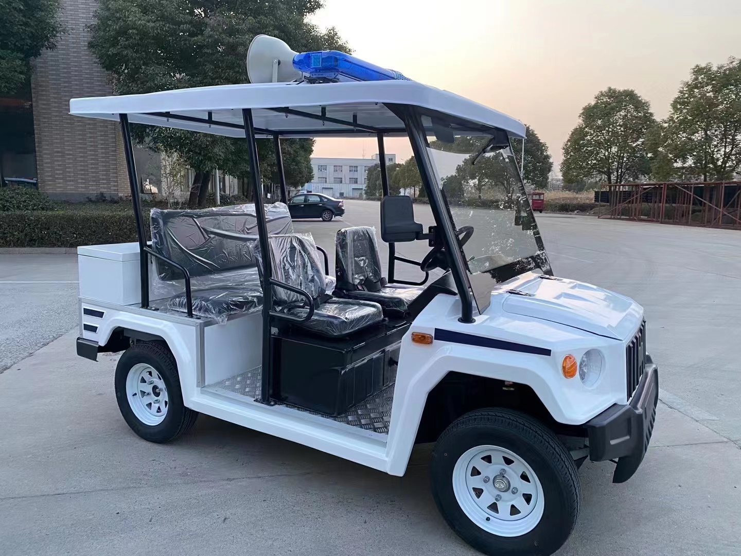 5座电动巡逻车
